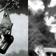 Illustration for article titled The US Militarys Disastrous Plan to Use Napalm-Strapped Bats in WWII